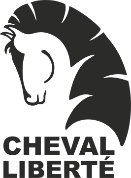 Sticker Van Chevaux Cheval Liberté Droit