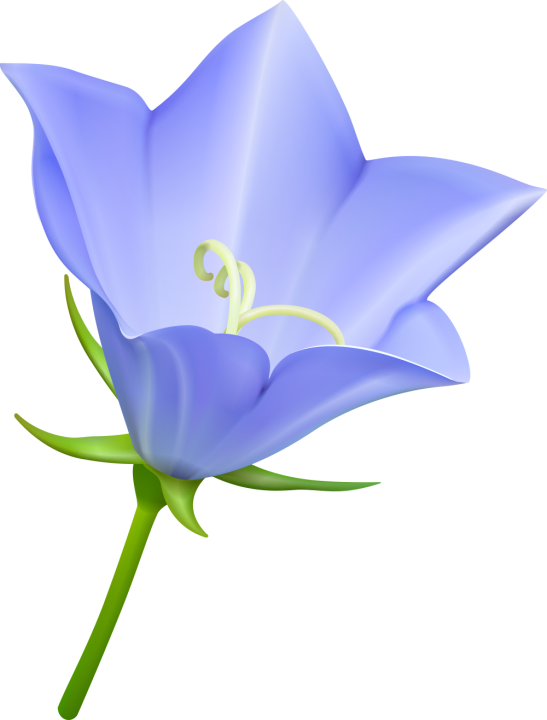Autocollants Fleur Bleue