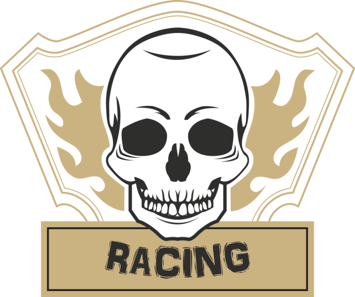 Autocollant Racing Skull Flammes