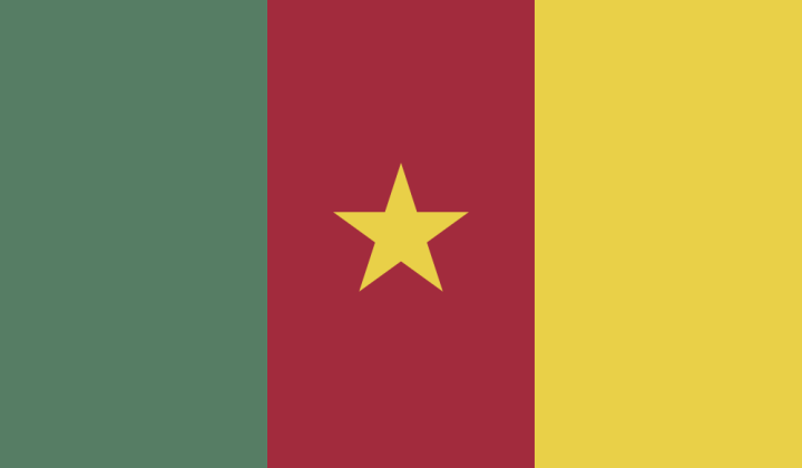 Autocollant Drapeau Cameroon