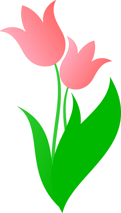 Autocollant Fleur Tulipe