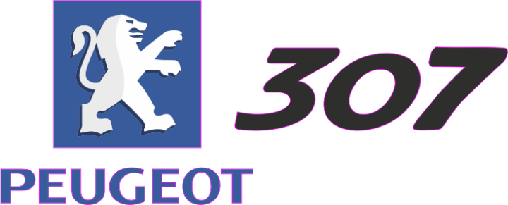 Autocollant Peugeot Logo 307 Droite