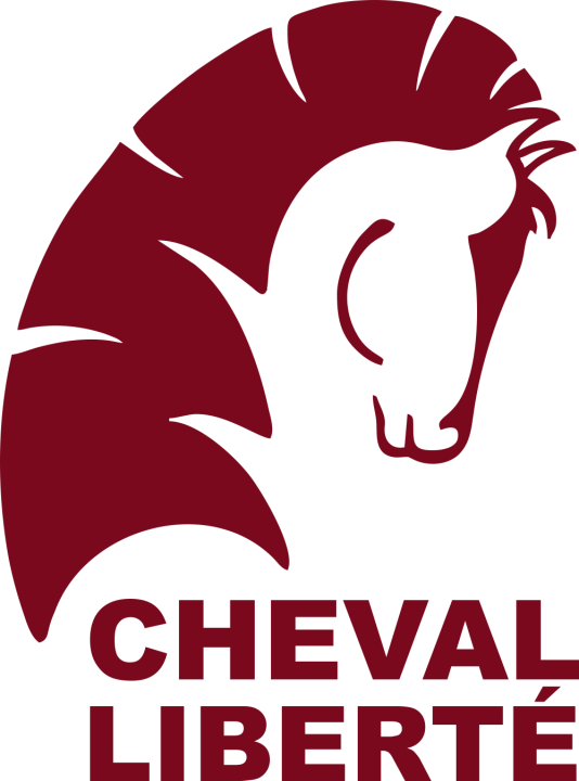 Autocollant Van Chevaux Cheval Liberté