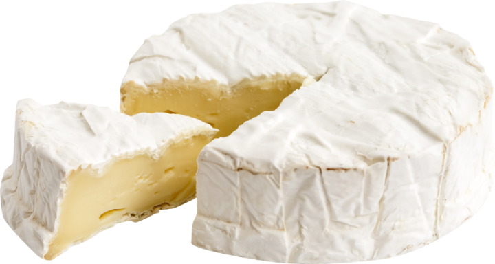 Autocollant Alimentation Fromage Brie 1