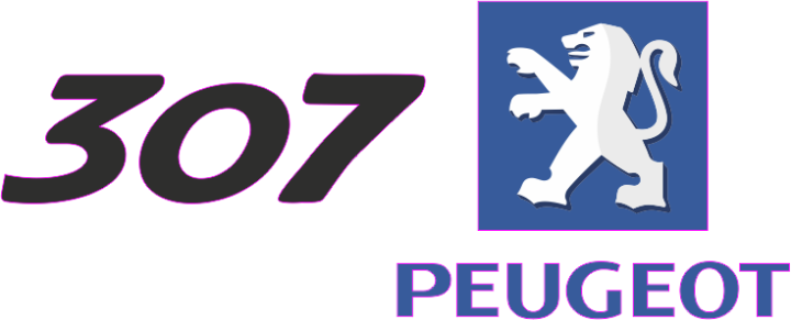Autocollant Peugeot Logo 307 Gauche