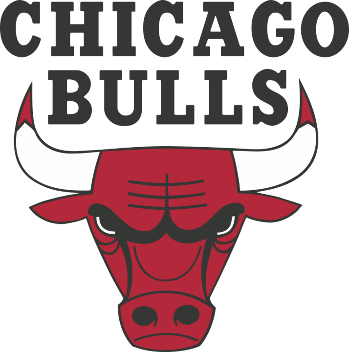 Autocollant Logo Nba Team Chicago Bulls