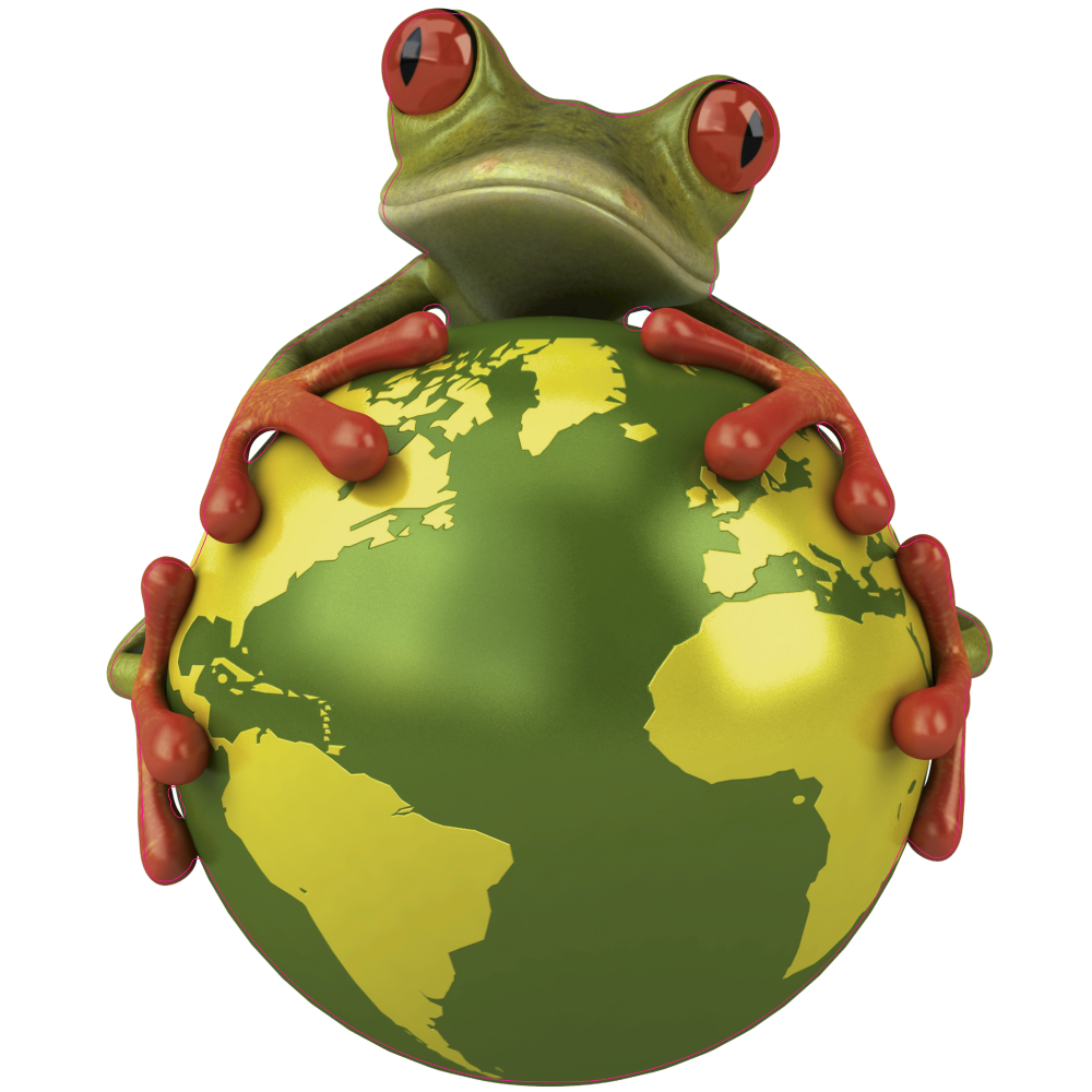 Votre autocollant et Autocollant Grenouille Monde au meilleur prix |  Stickers-garage.com, image size:1000x1000