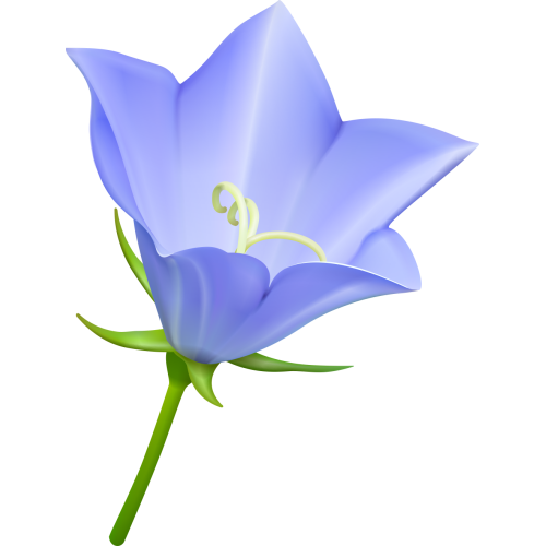 Autocollants Fleur Bleue