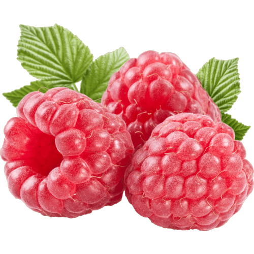 Autocollant Alimentation Fruit Framboises 1