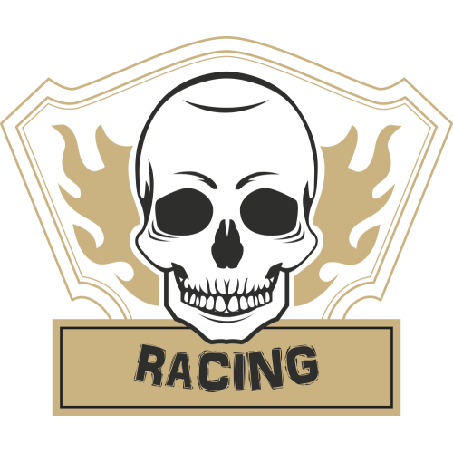 Autocollant Racing Skull Flammes