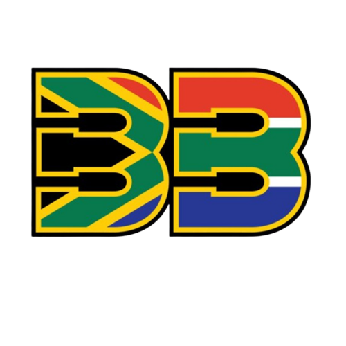 Sticker Brad Binder 33 V4