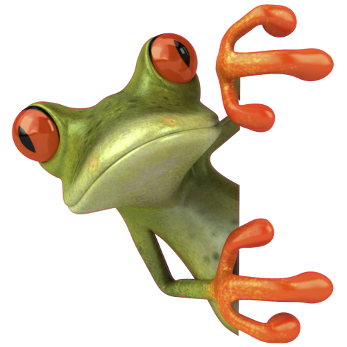 Autocollant Grenouilles