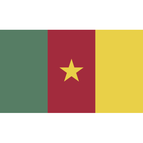 Autocollant Drapeau Cameroon