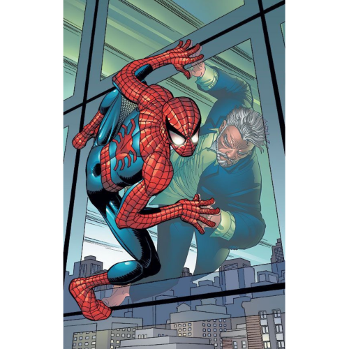 Sticker Spider Man V4