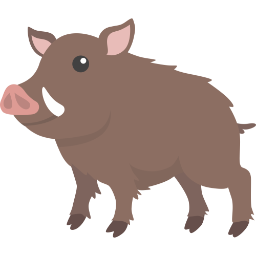 Autocollant Animaux Sanglier