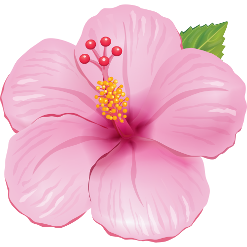 Autocollants Fleur Tropical 3