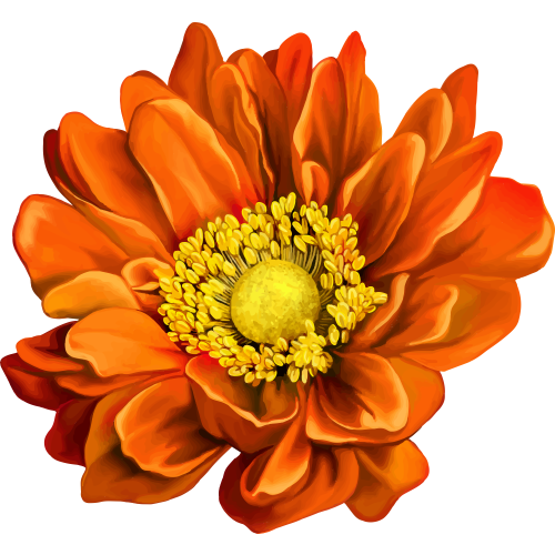 Autocollants Fleur Orange