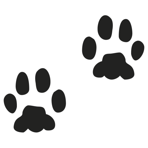 Sticker Empreinte Chien