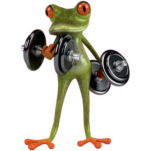 Autocollant Grenouille