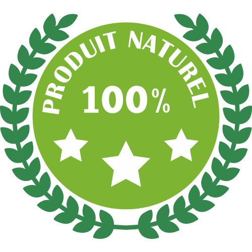 Autocollant Logo Nature Bio Et Naturel 11