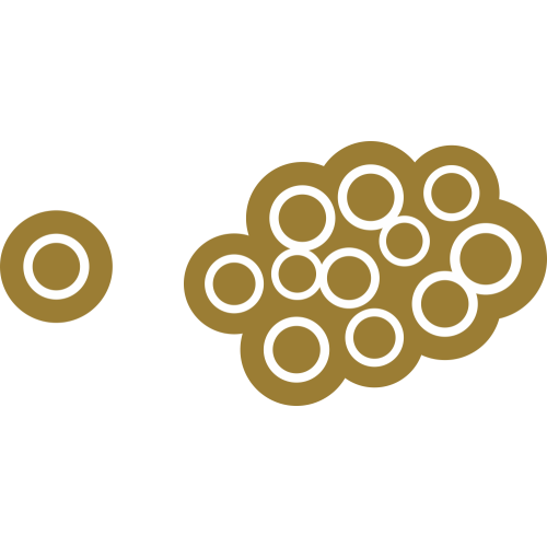 Autocollant Cercle Moderne Or