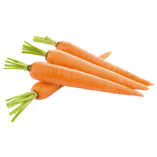 Autocollant Alimentation Légume Carotte 1