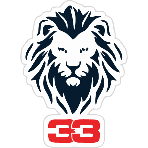 Sticker Max Verstappen V3