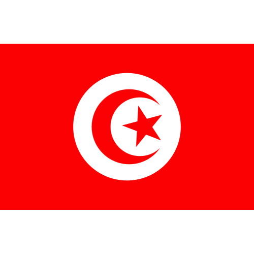 Autocollant Drapeau Tunisie