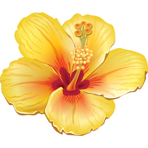 Autocollants Fleur Tropical 4