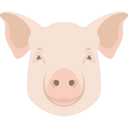 Autocollant Logo Animaux Ferme Cochon 2