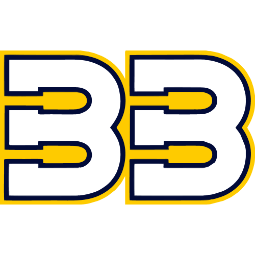 Sticker Brad Binder 33 V1