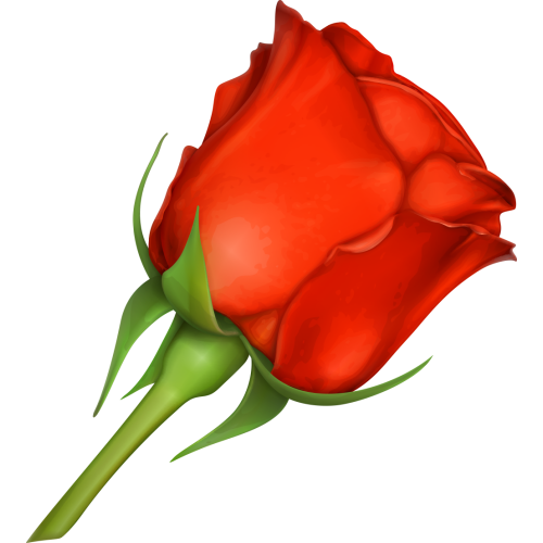 Autocollants Fleur Rose Rouge