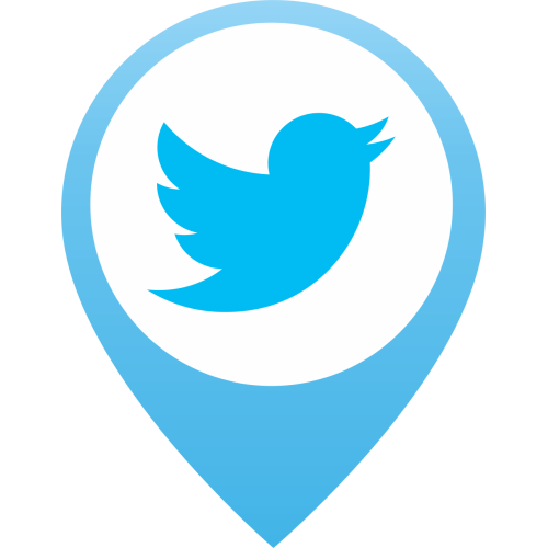 Autocollant Logo Réseau Social Twitter 3