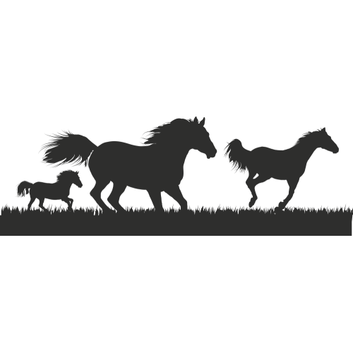 Sticker Chevaux