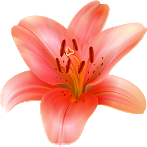 Autocollants Fleur Tropical 6