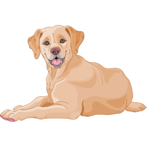 Autocollant Métier Santé Vétérinaire 1