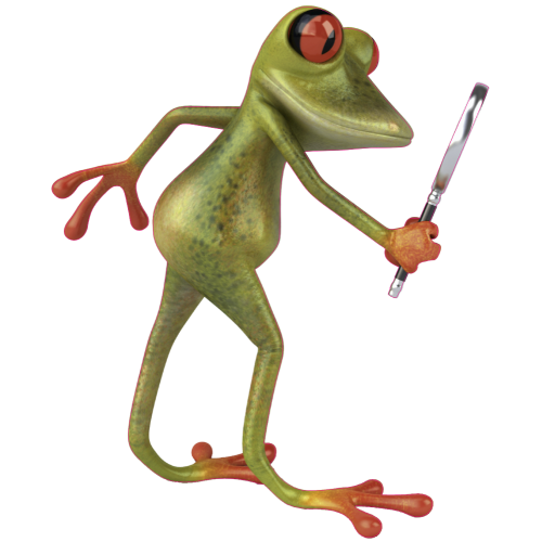 Autocollant Grenouille Peintre