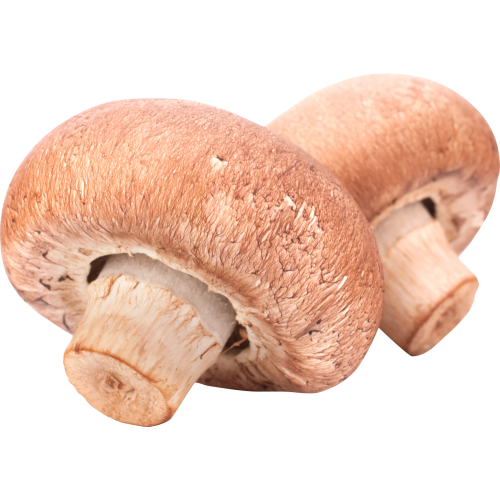 Autocollant Alimentation Champignons