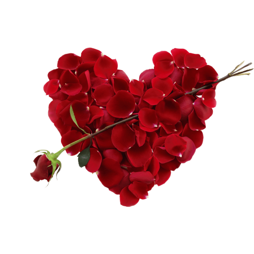 Autocollant Divers Fleur Rose 4