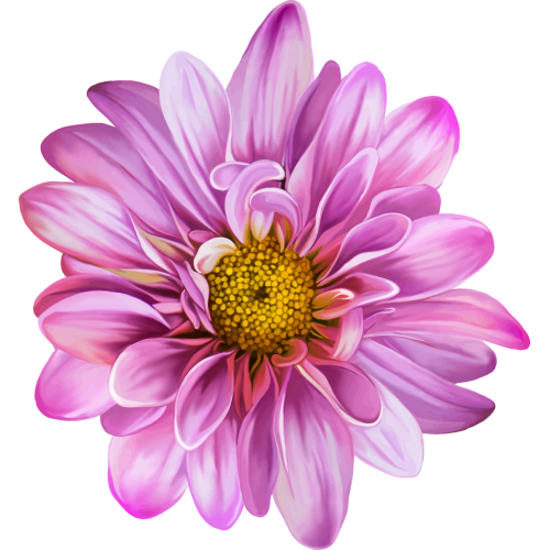 Autocollants Fleur Rose 2