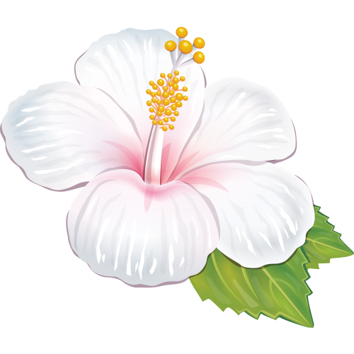 Autocollants Fleur Tropical 2