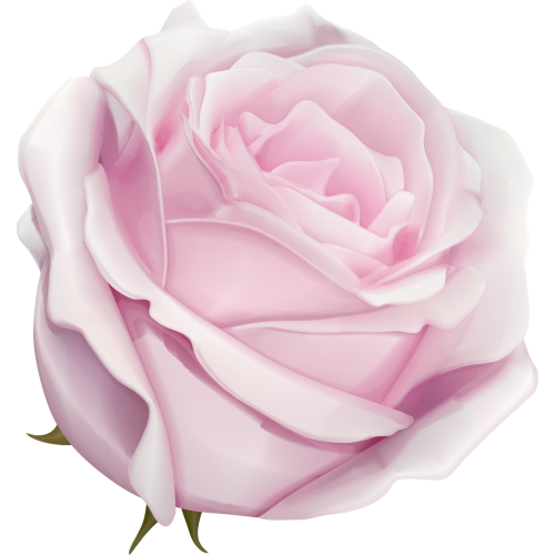 Autocollants Fleur Rose Rose