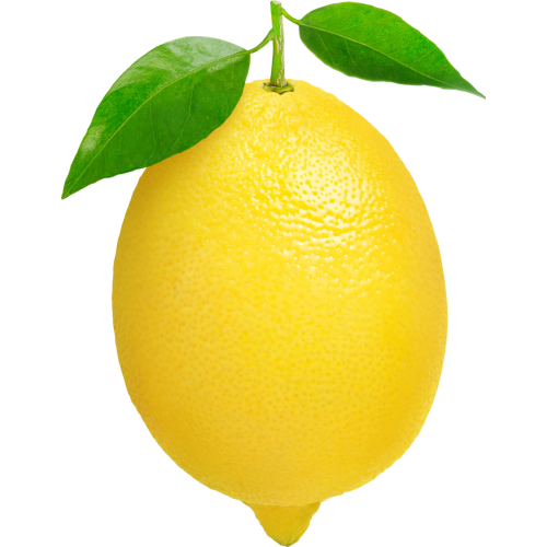 Autocollant Alimentation Fruit Citron 1