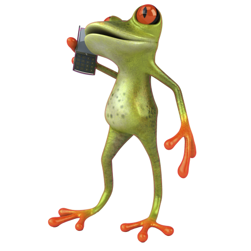 Autocollant Grenouilles