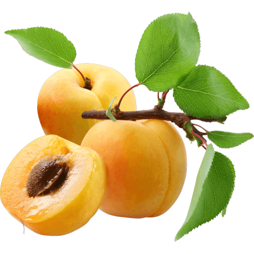 Autocollant Alimentation Fruit Abricot 1