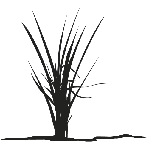 Sticker mural plante