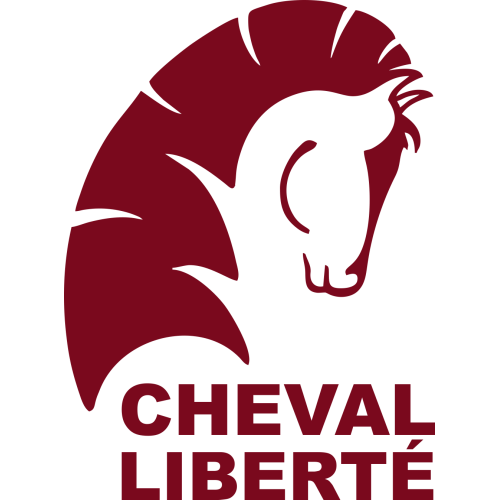Votre autocollant et Autocollant Van Chevaux Cheval Liberte au meilleur prix Stickers garage