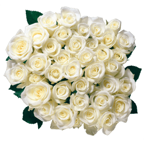 Autocollant Divers Fleur Rose 3