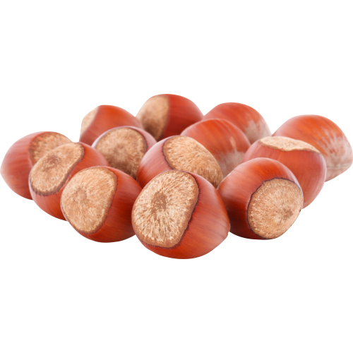 Autocollant Alimentation Noisettes