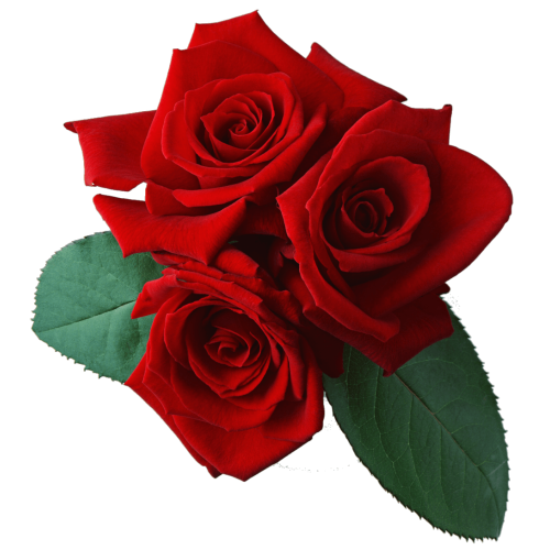 Autocollant Divers Fleur Rose 5